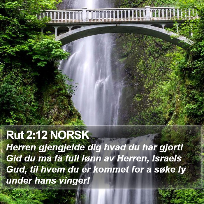 Rut 2:12 NORSK Bible Study