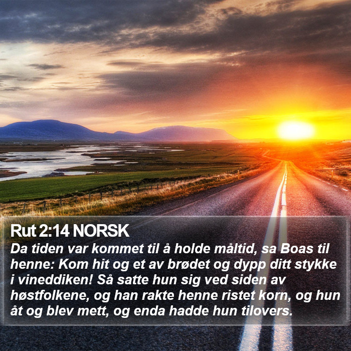 Rut 2:14 NORSK Bible Study