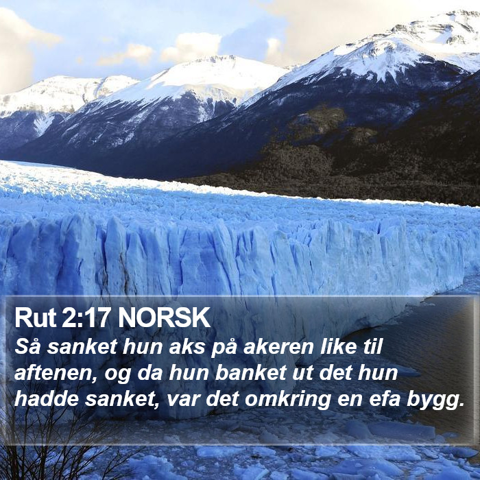 Rut 2:17 NORSK Bible Study