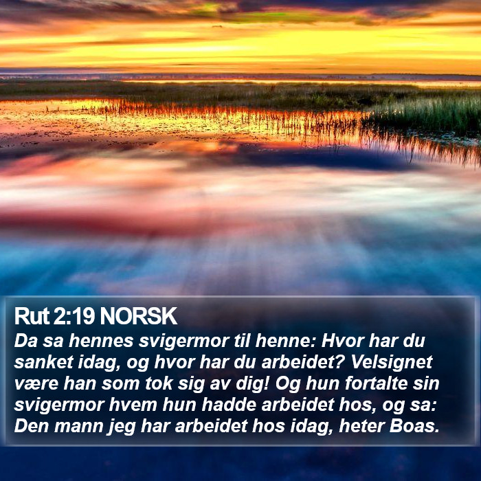 Rut 2:19 NORSK Bible Study