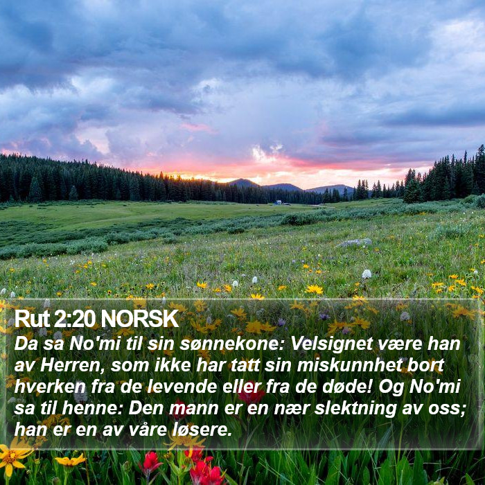 Rut 2:20 NORSK Bible Study