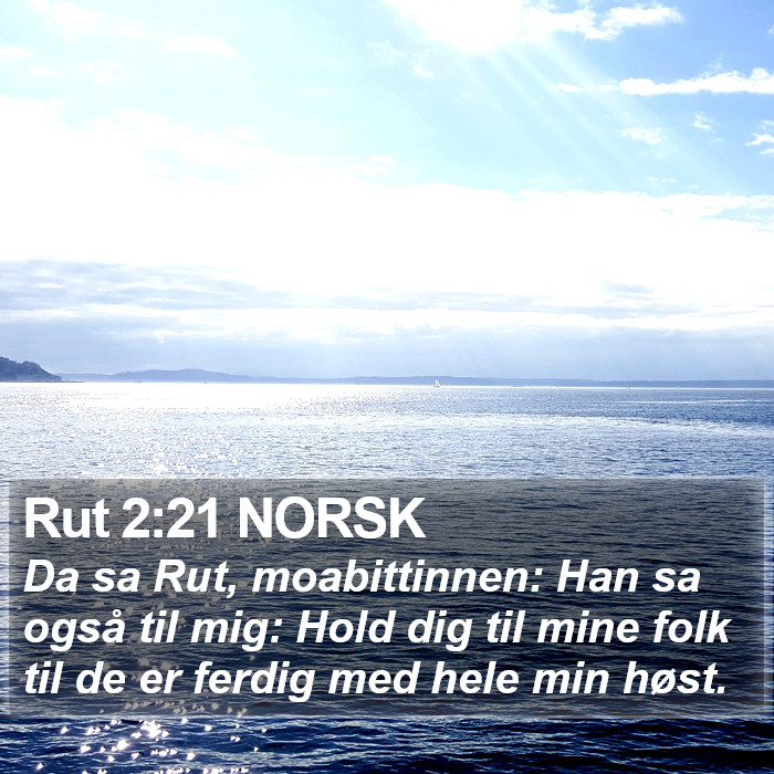 Rut 2:21 NORSK Bible Study