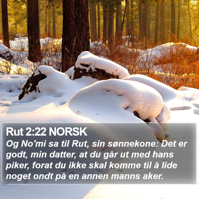 Rut 2:22 NORSK Bible Study