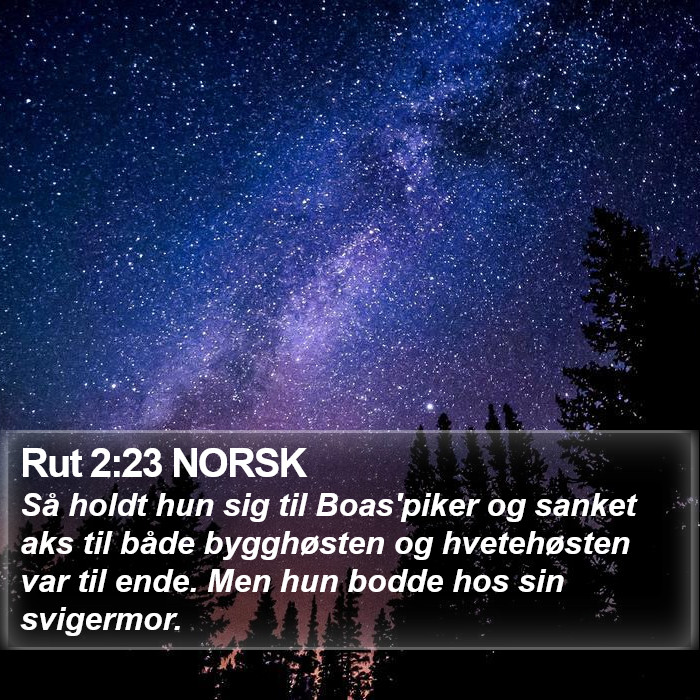 Rut 2:23 NORSK Bible Study