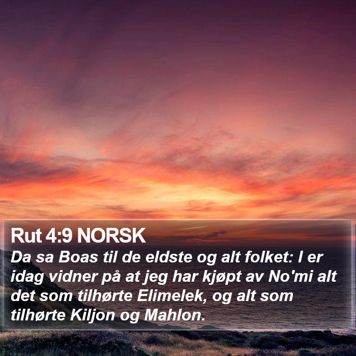 Rut 4:9 NORSK Bible Study