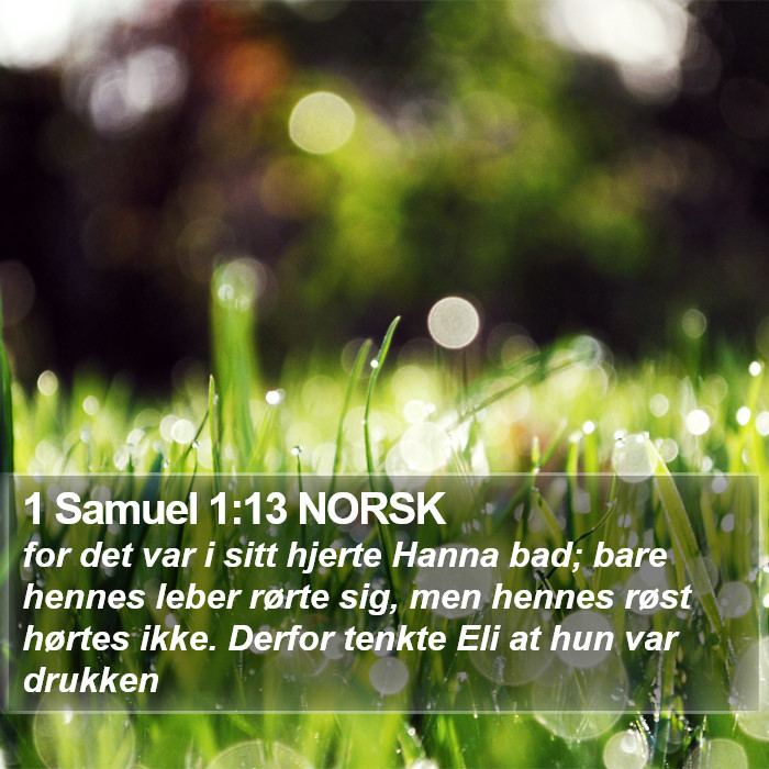 1 Samuel 1:13 NORSK Bible Study