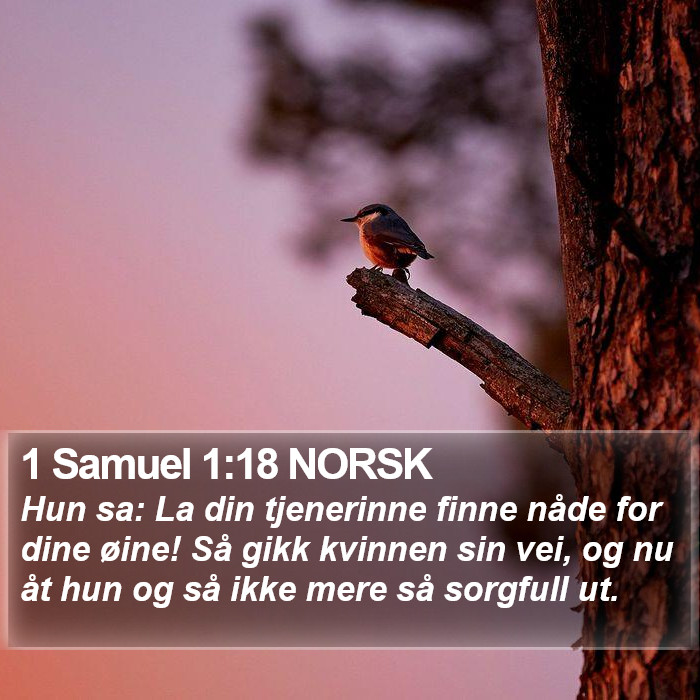 1 Samuel 1:18 NORSK Bible Study