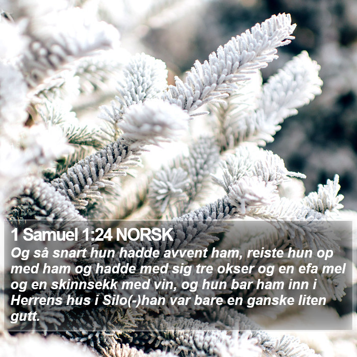 1 Samuel 1:24 NORSK Bible Study