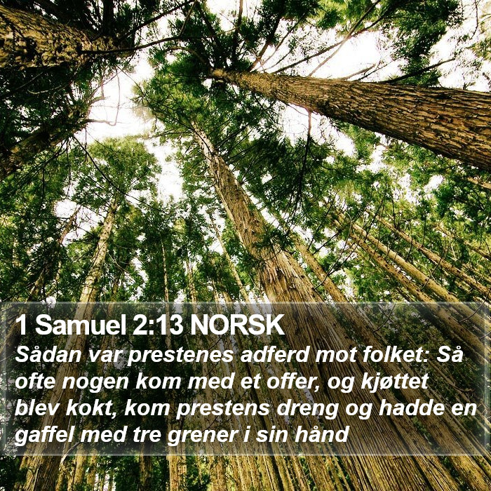 1 Samuel 2:13 NORSK Bible Study