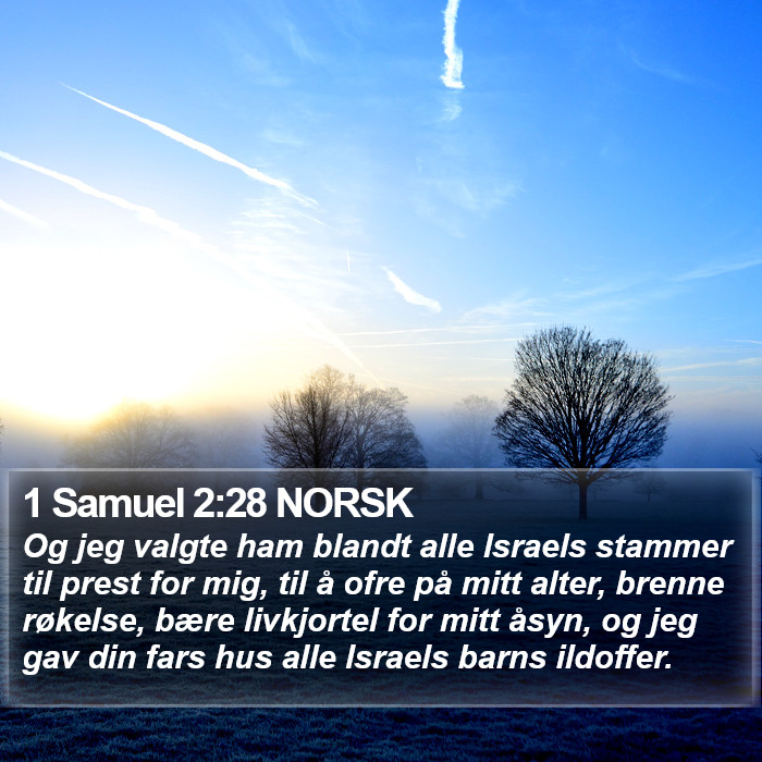 1 Samuel 2:28 NORSK Bible Study