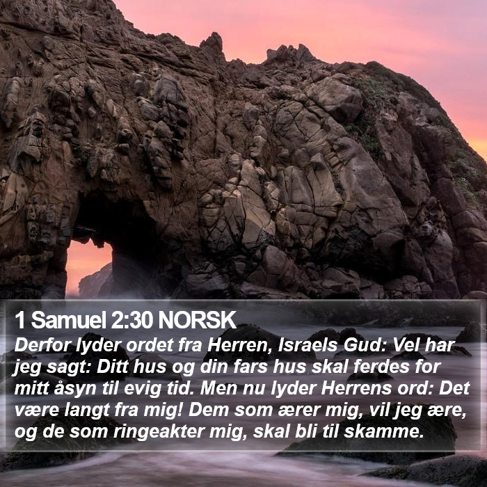 1 Samuel 2:30 NORSK Bible Study