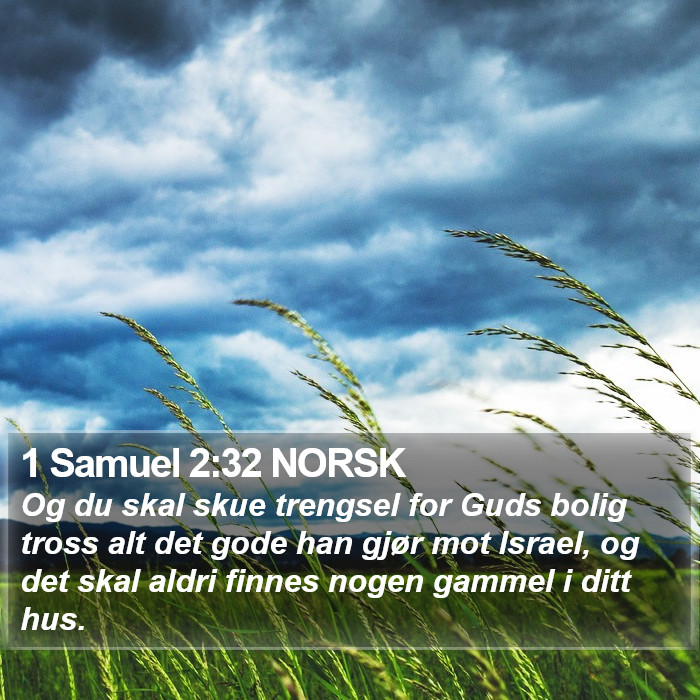 1 Samuel 2:32 NORSK Bible Study