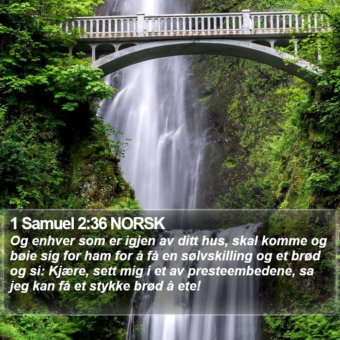 1 Samuel 2:36 NORSK Bible Study