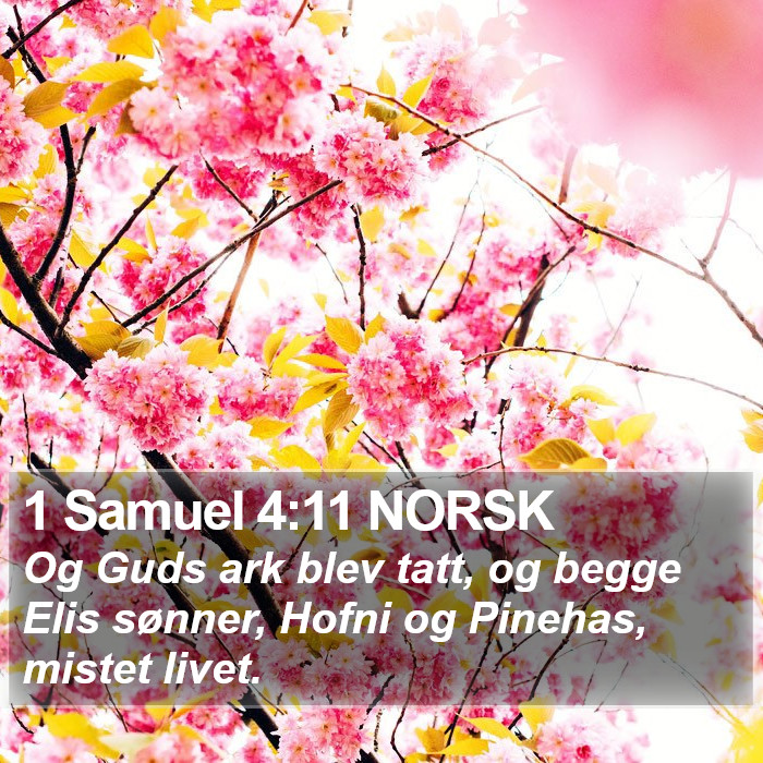 1 Samuel 4:11 NORSK Bible Study