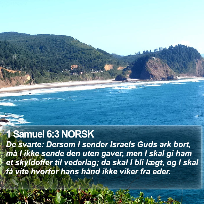 1 Samuel 6:3 NORSK Bible Study