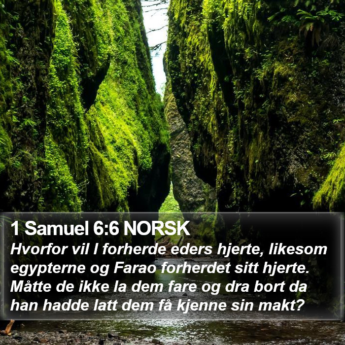 1 Samuel 6:6 NORSK Bible Study