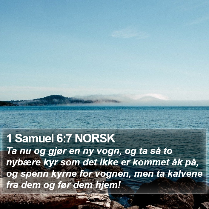 1 Samuel 6:7 NORSK Bible Study