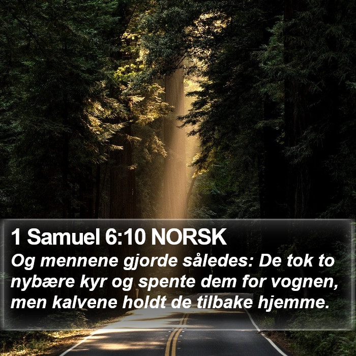 1 Samuel 6:10 NORSK Bible Study