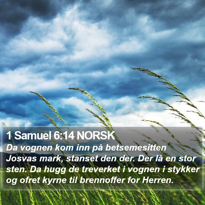 1 Samuel 6:14 NORSK Bible Study