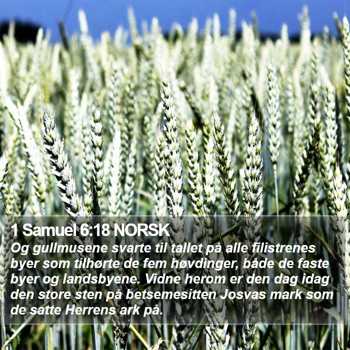 1 Samuel 6:18 NORSK Bible Study