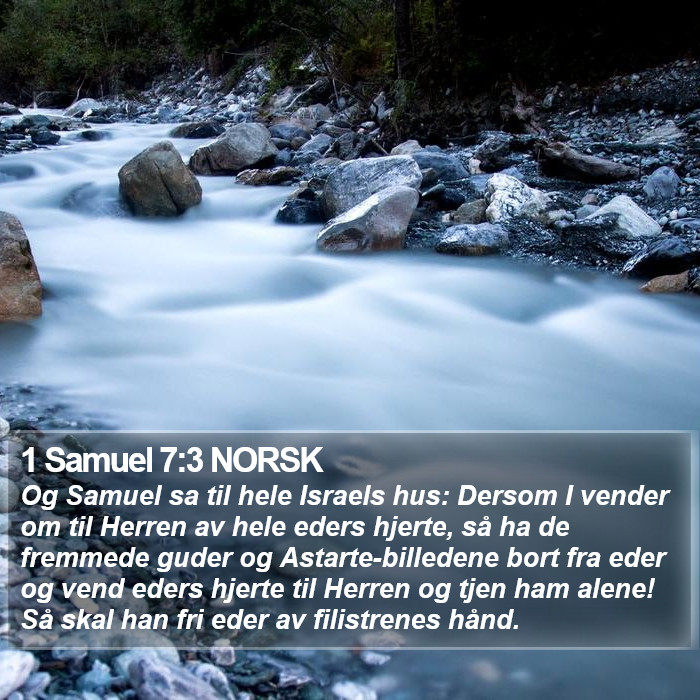 1 Samuel 7:3 NORSK Bible Study