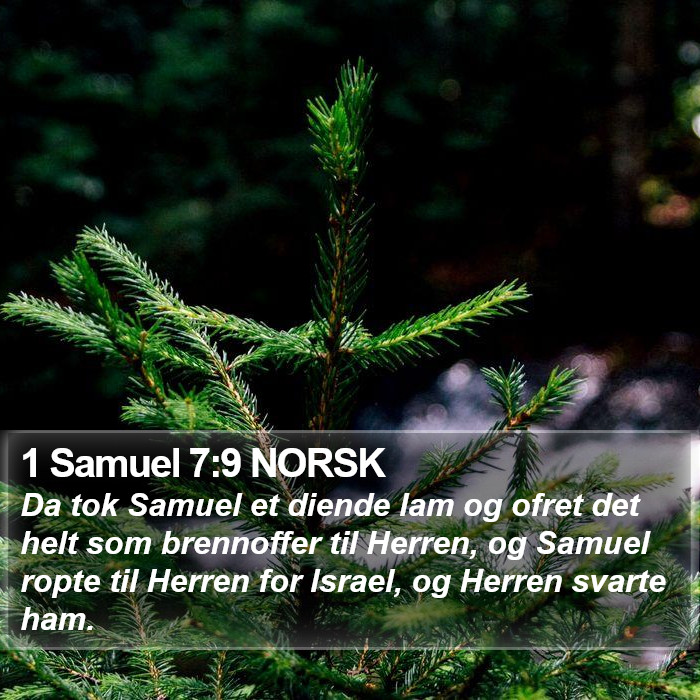 1 Samuel 7:9 NORSK Bible Study