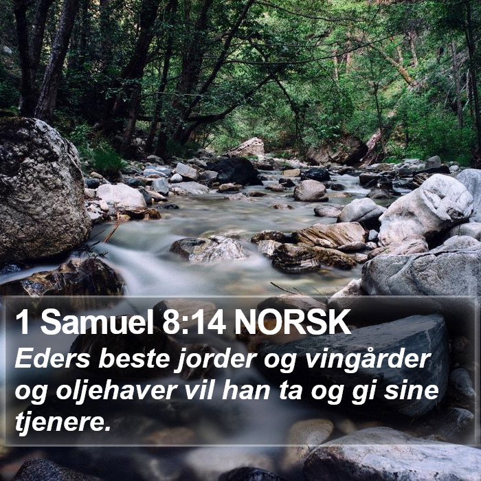 1 Samuel 8:14 NORSK Bible Study