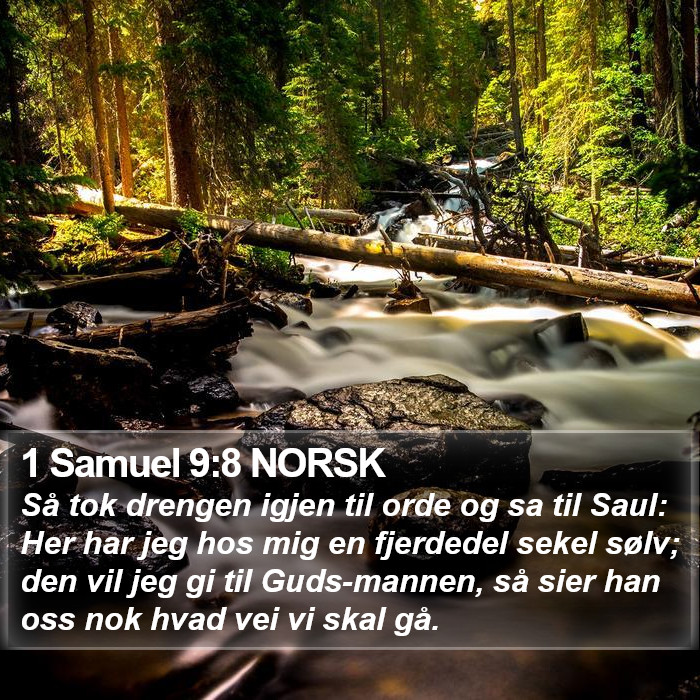 1 Samuel 9:8 NORSK Bible Study