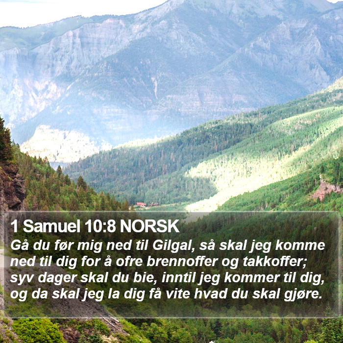 1 Samuel 10:8 NORSK Bible Study