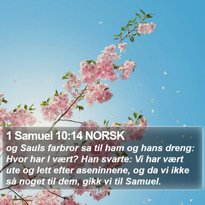 1 Samuel 10:14 NORSK Bible Study