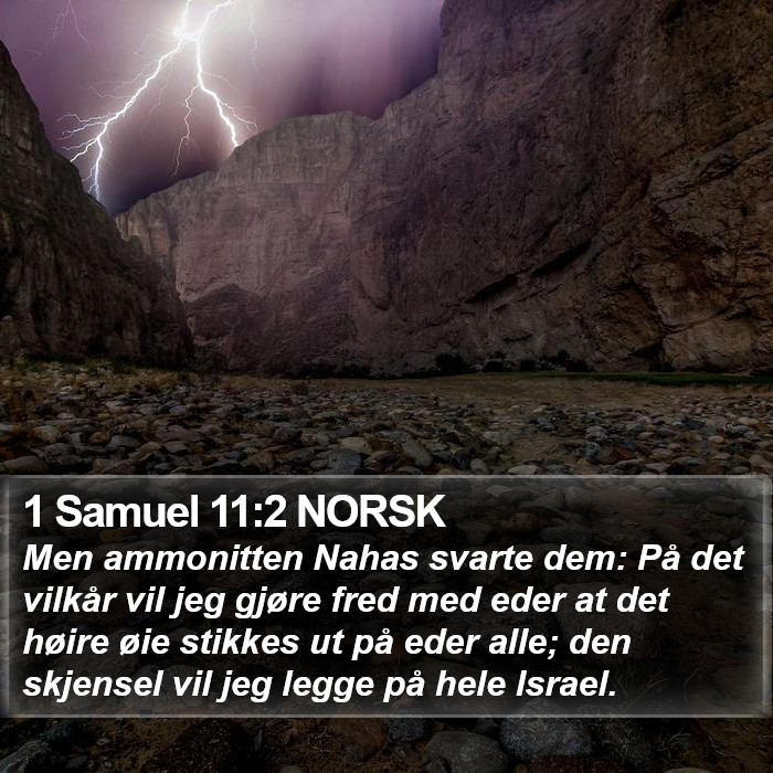 1 Samuel 11:2 NORSK Bible Study