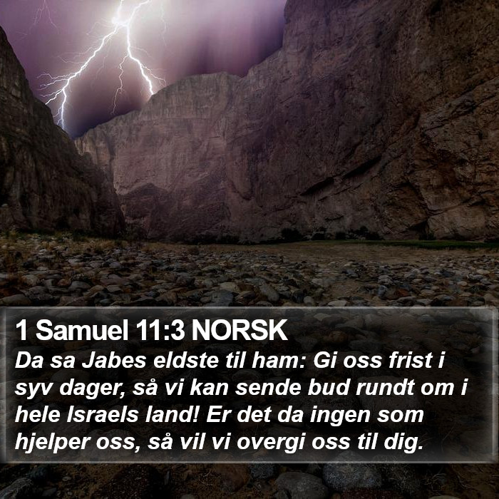 1 Samuel 11:3 NORSK Bible Study