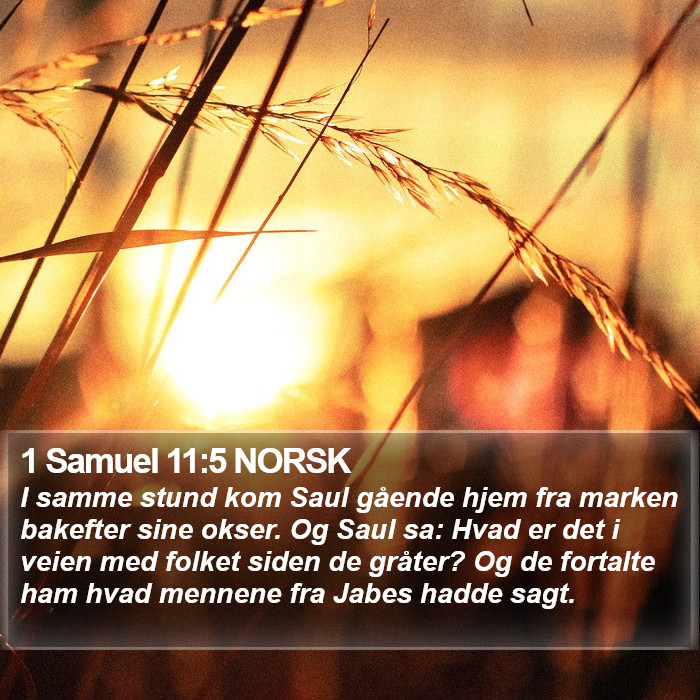 1 Samuel 11:5 NORSK Bible Study