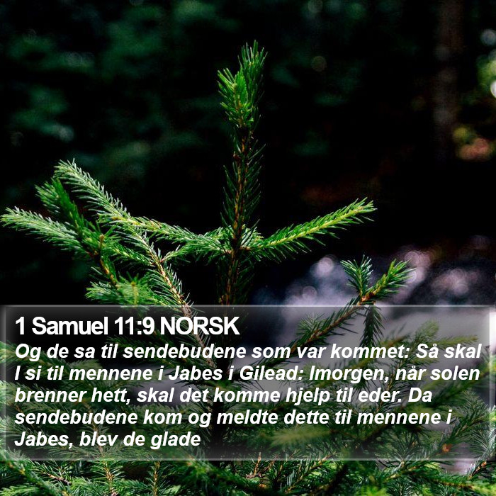 1 Samuel 11:9 NORSK Bible Study