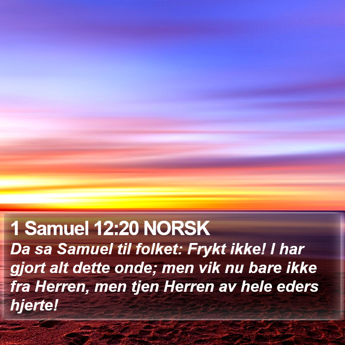 1 Samuel 12:20 NORSK Bible Study