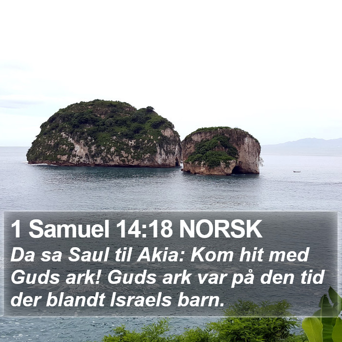 1 Samuel 14:18 NORSK Bible Study