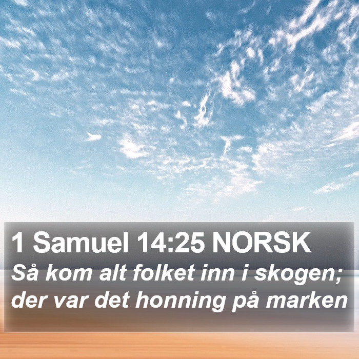 1 Samuel 14:25 NORSK Bible Study