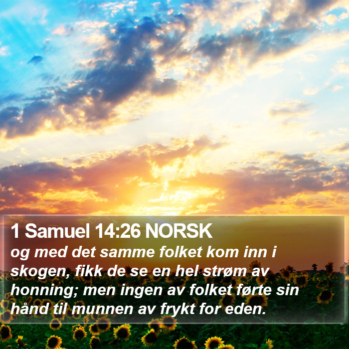 1 Samuel 14:26 NORSK Bible Study