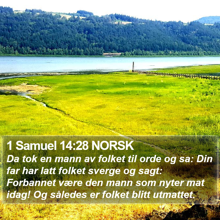 1 Samuel 14:28 NORSK Bible Study