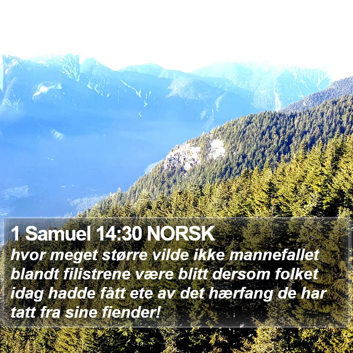 1 Samuel 14:30 NORSK Bible Study