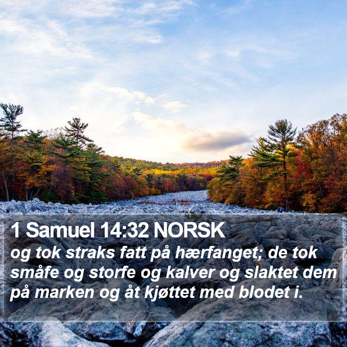 1 Samuel 14:32 NORSK Bible Study