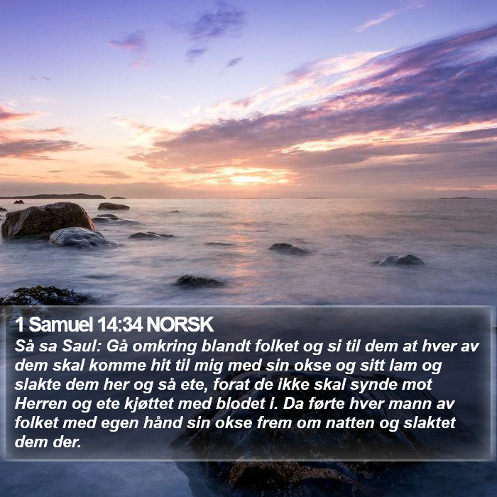 1 Samuel 14:34 NORSK Bible Study