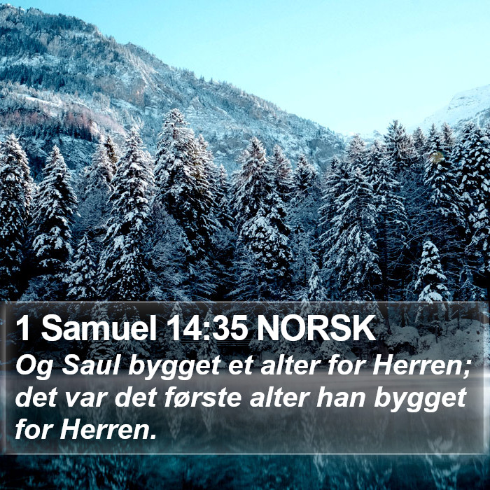 1 Samuel 14:35 NORSK Bible Study