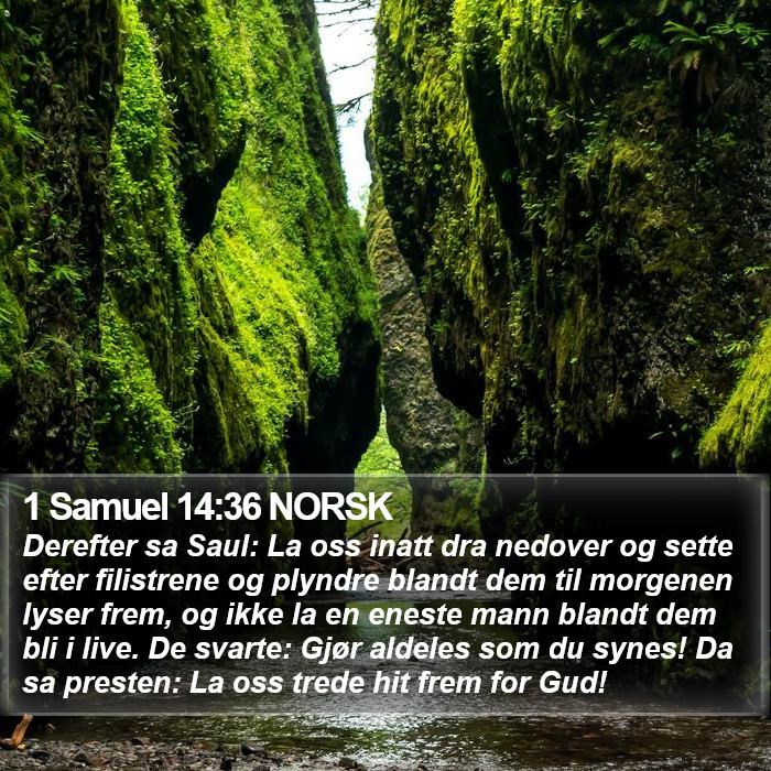 1 Samuel 14:36 NORSK Bible Study