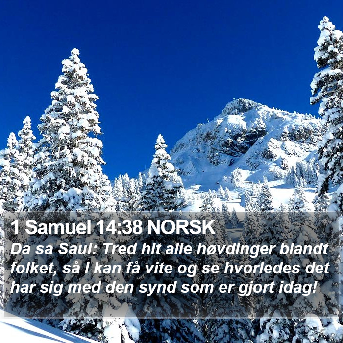 1 Samuel 14:38 NORSK Bible Study