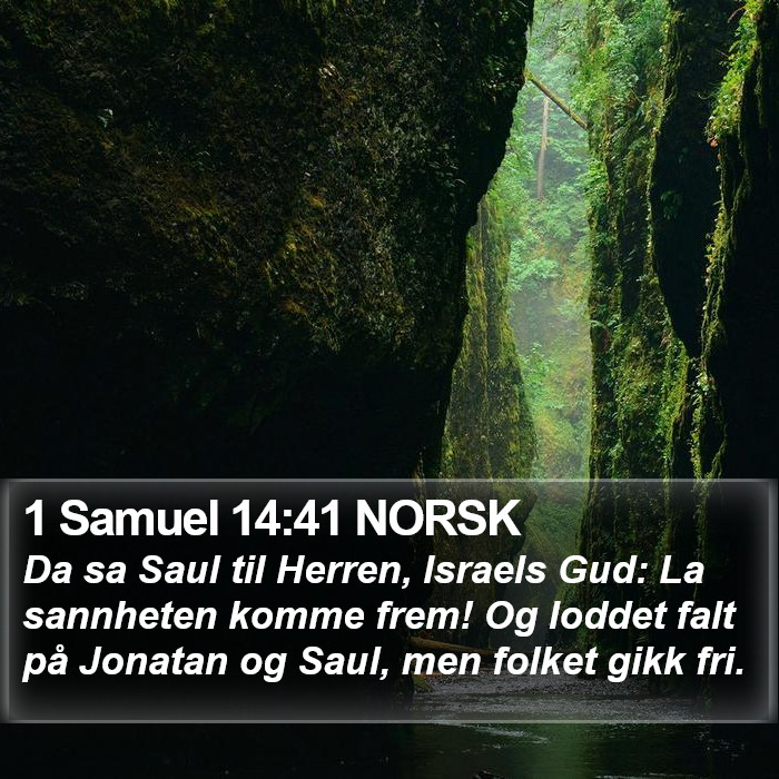 1 Samuel 14:41 NORSK Bible Study