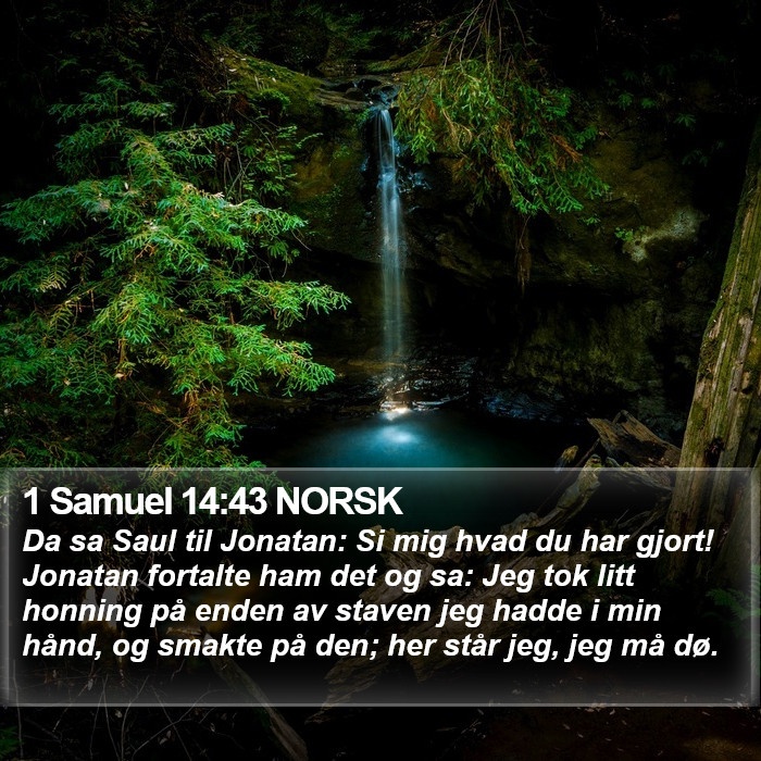 1 Samuel 14:43 NORSK Bible Study