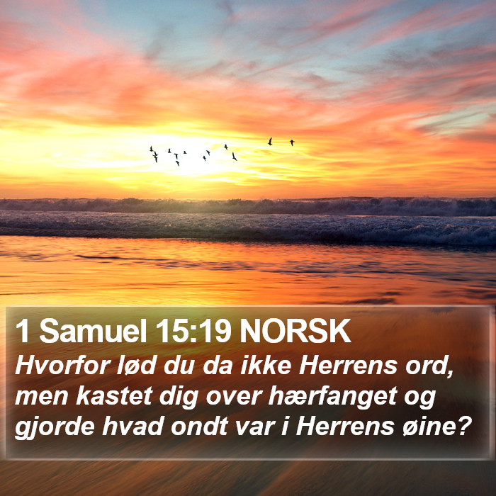1 Samuel 15:19 NORSK Bible Study