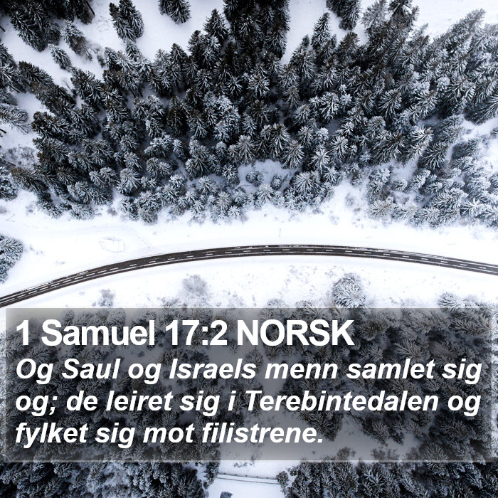 1 Samuel 17:2 NORSK Bible Study