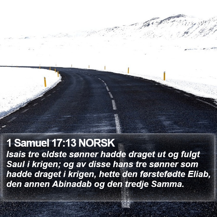 1 Samuel 17:13 NORSK Bible Study